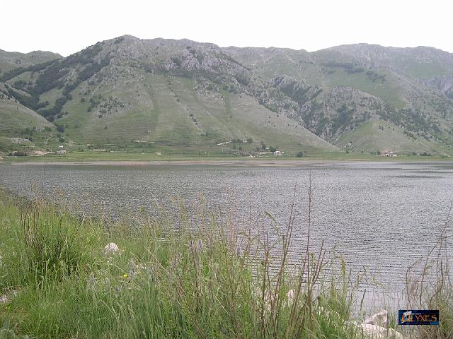 brezza sul lago.JPG